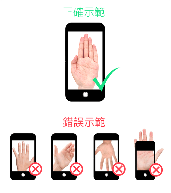 手掌預覽