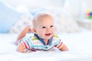 屁股長什麼樣子