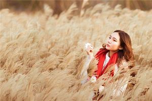 哲學手的人命運如何