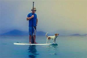 男人哪些臉部痣相能發大財