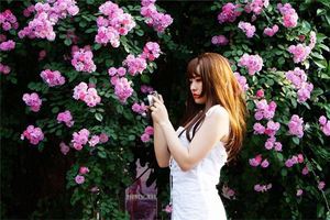 體相解析看你的性格如何