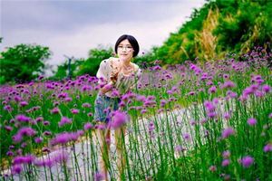 智慧線和感情線相連的人事業如何