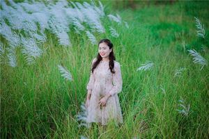 眉毛有疤影響運勢嗎