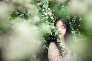 活力線有何詳解呢