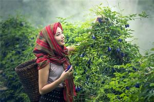 女人無名指下有豎線