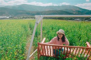 經常染髮對自身運勢有什麼影響