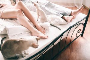 腳型能看官運嗎