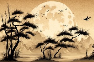 女生龍鳳眼面相意味著什麼