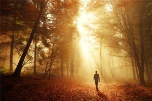 走路姿態可看貴運嗎