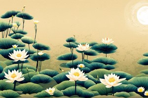 哪些面相的人不可貌相