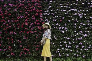 體相看什麼樣的女人才是極品