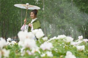 怎麼從髮型看運勢好壞