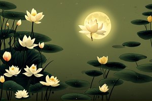 嘴巴小的女生面相
