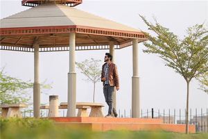 男人肚子上長痣圖解