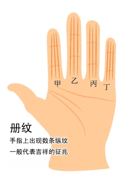 冊紋