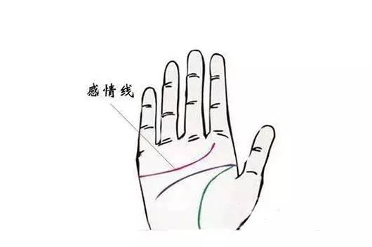 感情線