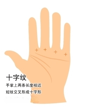 十字紋