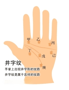 井字紋