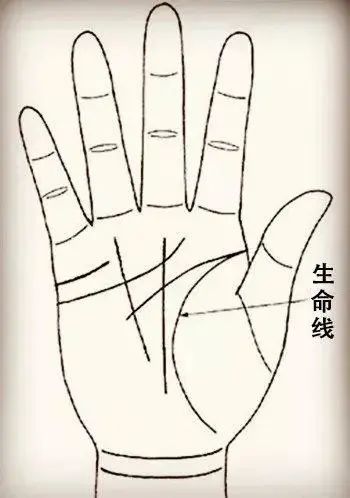 生命線