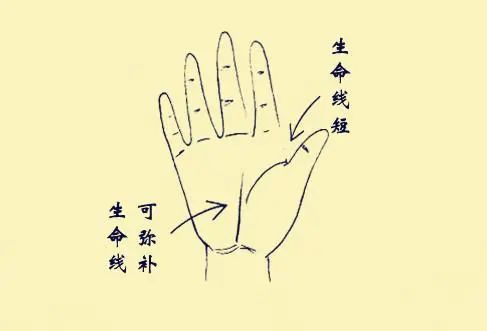 生命線