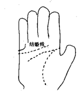 婚姻線