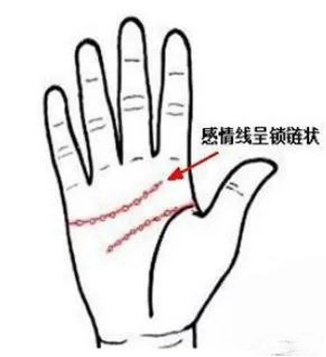 手紋與戀愛解讀