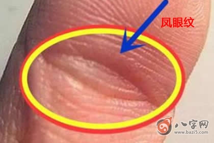 鳳眼紋手相圖解，看看你對此瞭解多少