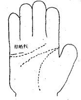 婚姻線