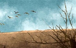 手相查詢：女子手如柴為第一貴