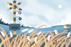 手上有佛眼紋絕非凡人