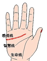智慧線是看人智商的？如何看智慧線？