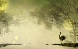 手相查詢：有鳳眼紋的女人命苦