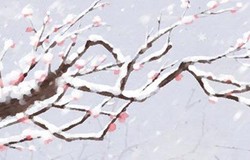 手相查詢：算命先生不給斷掌的人算命