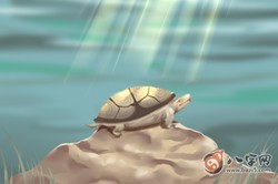 手相算命大師告訴你，什麼手相比較好