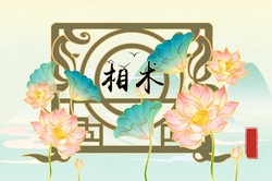 什麼樣的手掌紋女人命最好