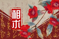 手指有肉的人有福氣嗎