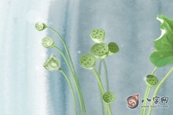 手有斷掌紋，男財女孤貧是什麼意思