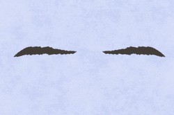 女人桃花運旺盛的手相