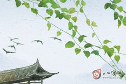 手上有佛眼紋的人是不是有佛緣