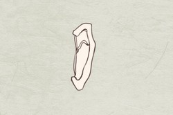 女人這裡長痣命最好