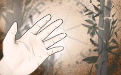 手指有肉的人命運如何