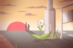 左手斷掌的女人財運