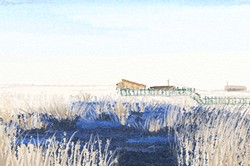 大驛土命有斷掌紋手相如何