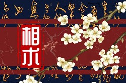 男左手紋線圖解大全