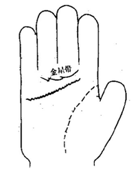 手紋與戀愛解讀