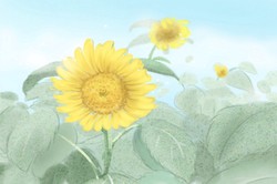 什麼面相的男同事最好泡到手