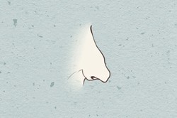 一生勞碌命的女人手相