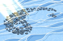 女人手相沒有事業線