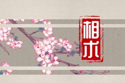 手腕上有痣代表什麼