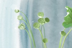 大林木命有斷掌紋手相運勢如何